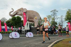 BIB: 
                            <button type="button" onclick="openModal(26528980)" class="btn btn-primary btn-sm float-right btn-popup" data-toggle="modal" data-target=".modal-high-quality">
                        <i class="fas fa-shopping-cart"></i> Add to Cart
                    </button>
                                            <button type="button" onclick="isThisMe(26528980, true)" class="btn btn-success btn-sm float-right btn-popup btn-isme hidden" data-toggle="tooltip" data-placement="bottom" title="นี่คือรูปของคุณใช่ไหม คลิกที่นี่เพื่อเอาเข้าอัลบั้ม">
                        <i class="fas fa-plus"></i> Add to album
                    </button>
                    <button type="button" onclick="isThisMe(26528980, false)" class="btn btn-warning btn-sm float-right btn-popup btn-isnotme hidden">
                        <i class="fas fa-ban"></i> Remove from album
                    </button>